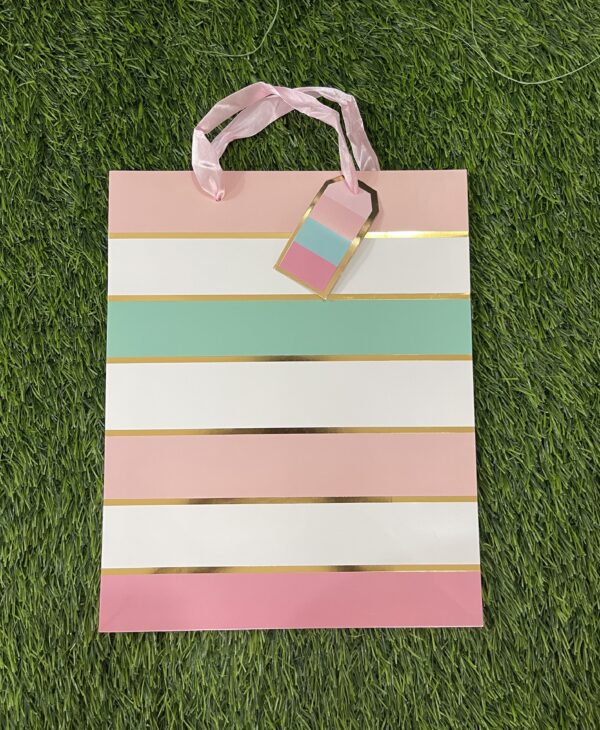 Medium Striped Gift Bag - Pink